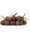 YMA OLIVE NERE PASSOLONI GRECIA SECCHIO KG 5