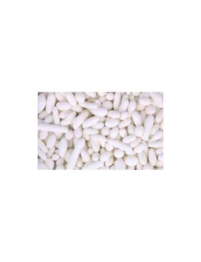 SETOLA CONFETTINI CANNELLINI VASO GR 100
