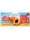 JOLLY COLOMBANI SUCCO ALBICOCCA ML 200X3