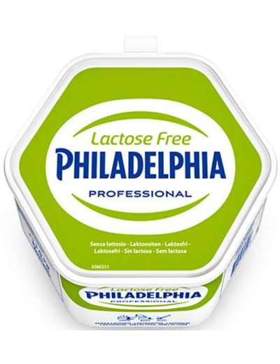 PHILADELPHIA SENZA LATTOSIO KG 1