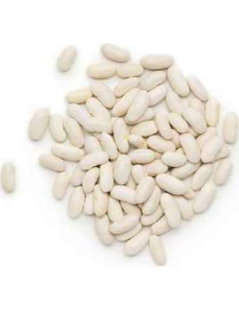 MONDIAL FAGIOLI CANNELLINI BUSTA KG 5