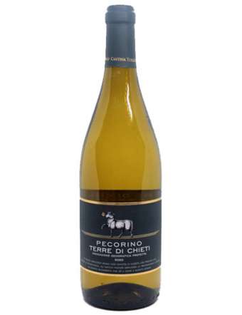 CANTINA TOLLO PECORINO TERRE DI CHIETI OCCHIO BLU IGP CL 75