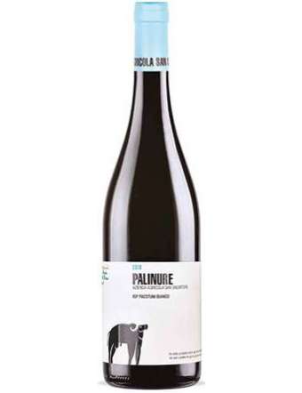 SAN SALVATORE PALINURE BIANCO IGP 2024 CL 75