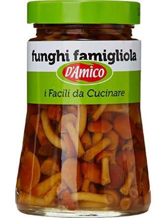 D'AMICO FUNGHI FAMIGLIOLA GR 470
