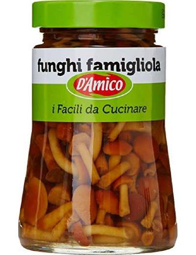 D'AMICO FUNGHI FAMIGLIOLA GR 470