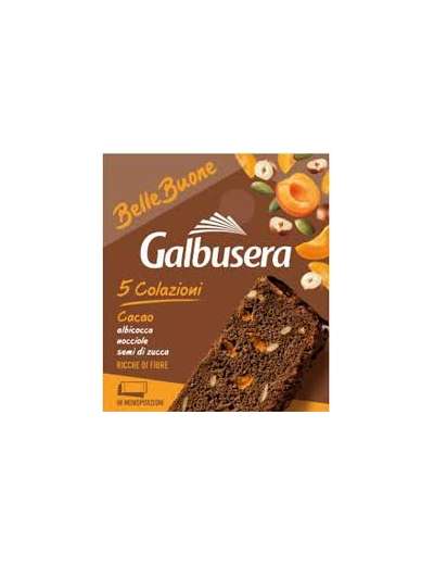 GALBUSERA BELLE E BUONE FETTE CACAO E ALBUMI GR 200